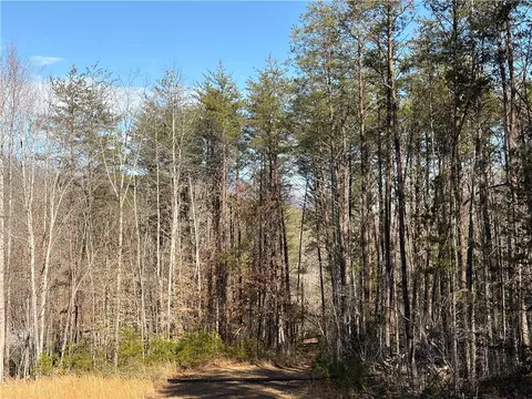 262 Blue Sky Dr, Sunset, SC 29685 photo 20