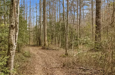 Other - 196 Flyroot Trl, Pickens, SC 29671 photo 11 of 13