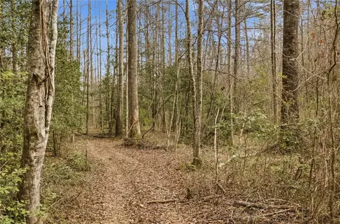 196 Flyroot Trl, Pickens, SC 29671 photo 37