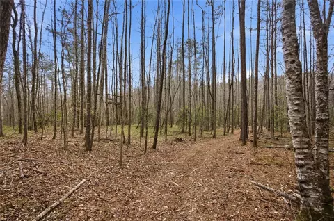 196 Flyroot Trl, Pickens, SC 29671 photo 33