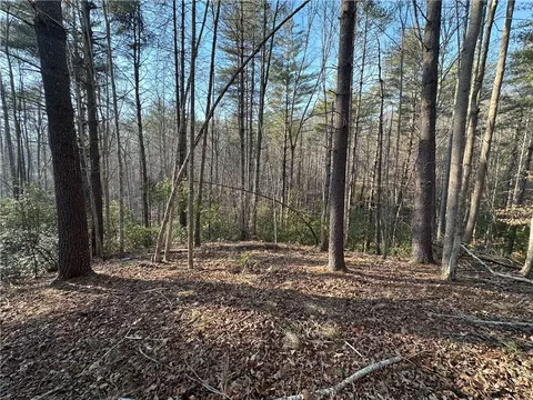 100 Fire Pink Ct, Sunset, SC 29685 photo 3