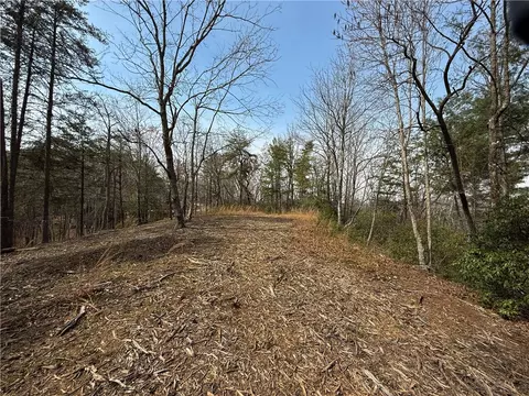 110 Buttercup Way, Sunset, SC 29685 photo 11