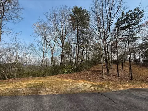 110 Buttercup Way, Sunset, SC 29685 photo 9