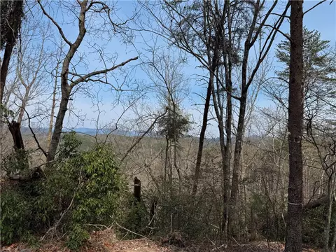 110 Buttercup Way, Sunset, SC 29685 photo 16