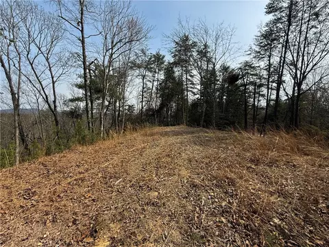 110 Buttercup Way, Sunset, SC 29685 photo 12