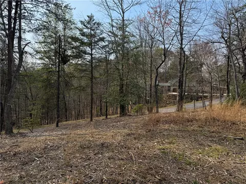 110 Buttercup Way, Sunset, SC 29685 photo 18