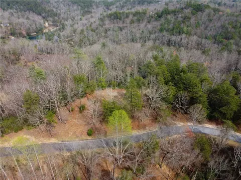 110 Buttercup Way, Sunset, SC 29685 photo 25