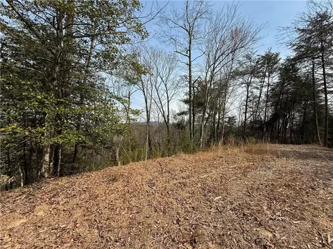 110 Buttercup Way, Sunset, SC 29685 photo 13