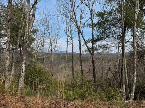 110 Buttercup Way, Sunset, SC 29685 photo 2