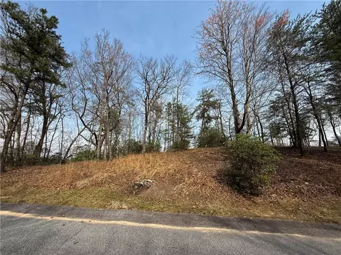 110 Buttercup Way, Sunset, SC 29685 photo 20