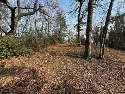 110 Buttercup Way, Sunset, SC 29685 photo 10