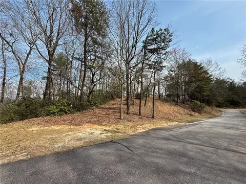 110 Buttercup Way, Sunset, SC 29685 photo 8