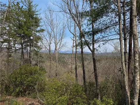 110 Buttercup Way, Sunset, SC 29685 photo 15