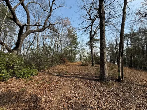 110 Buttercup Way, Sunset, SC 29685 photo 19