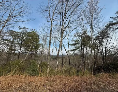 110 Buttercup Way, Sunset, SC 29685 photo 14