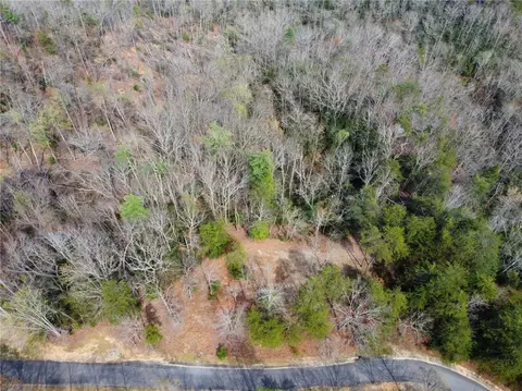 110 Buttercup Way, Sunset, SC 29685 photo 21
