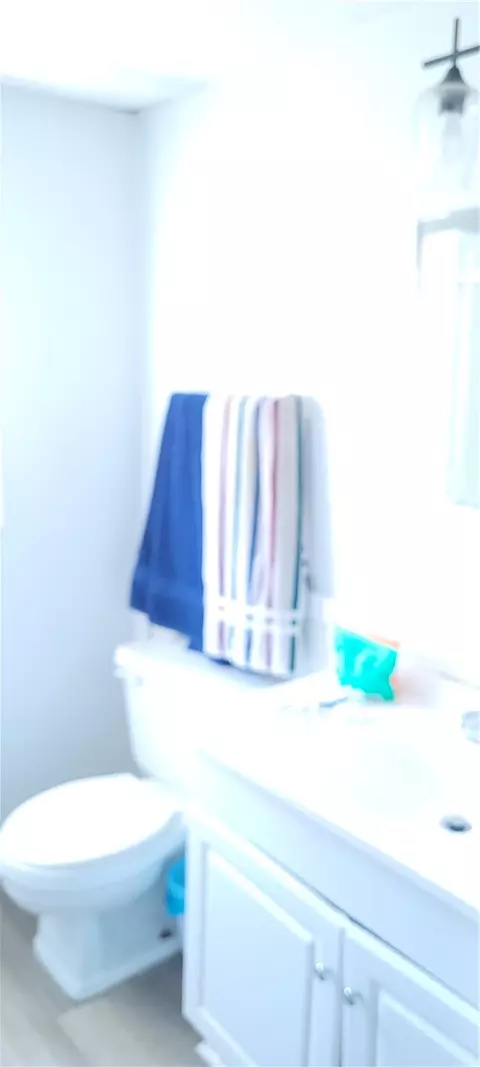 Bath - 223 Second St, Newry, SC 29665 photo 4 of 4
