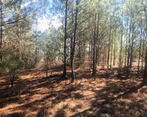 00 Bob White Dr, Waterloo, SC 29384 photo 5