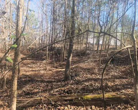 00 Bob White Dr, Waterloo, SC 29384 photo 8