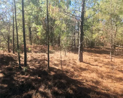 00 Bob White Dr, Waterloo, SC 29384 photo 6