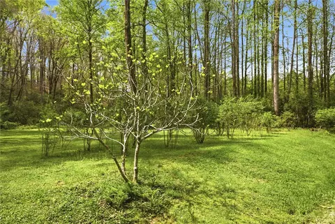 Exterior - 305 Wildwood Rd, Walhalla, SC 29691 photo 6 of 12