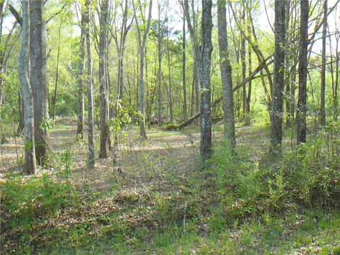 1019 Jones Dr, Anderson, SC 29626