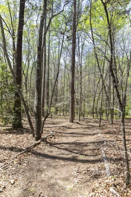 Other - 144 Lecroy Rd, Walhalla, SC 29691 photo 12 of 12