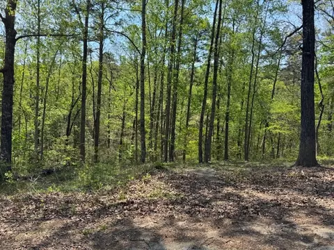 56 Cottonwood Ct, Toccoa, GA 30577