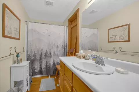 Bath - 539 Upper Springs Rd, Pickens, SC 29671 photo 2 of 3