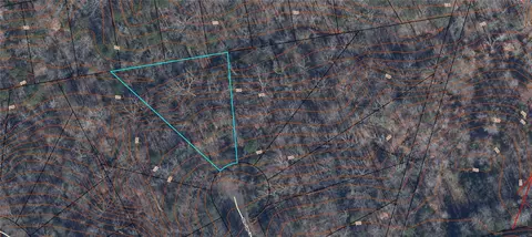000 Pine Gap Cv, Westminster, SC 29693 photo 3