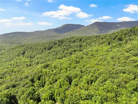Other - 56 Cardinal Cir, Saluda, NC 28773 photo 8 of 8