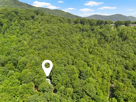 View/Area - 56 Cardinal Cir, Saluda, NC 28773 photo 3 of 3