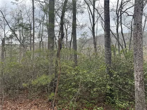 00 Marble Branch Trl, Walhalla, SC 29691 photo 35