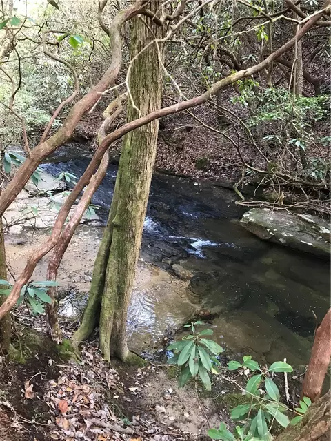 00 Marble Branch Trl, Walhalla, SC 29691 photo 9