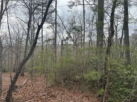 00 Marble Branch Trl, Walhalla, SC 29691 photo 36