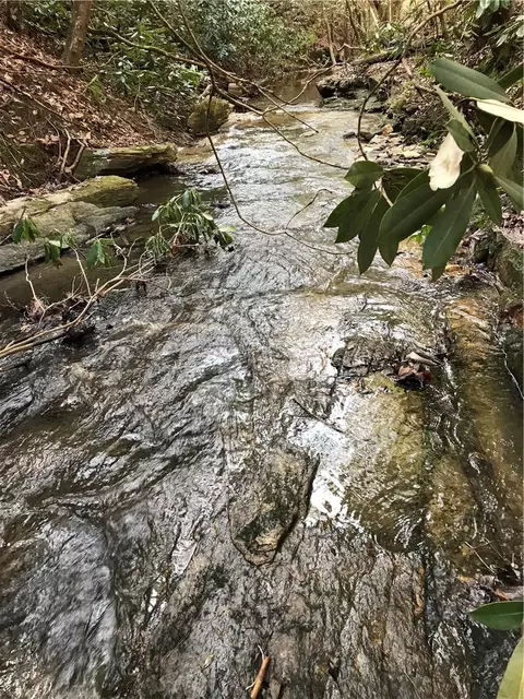 00 Marble Branch Trl, Walhalla, SC 29691 photo 8