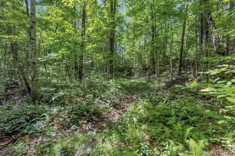 00 Marble Branch Trl, Walhalla, SC 29691 photo 21