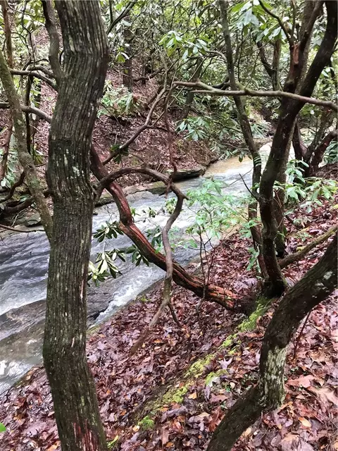 00 Marble Branch Trl, Walhalla, SC 29691 photo 3