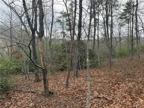 00 Marble Branch Trl, Walhalla, SC 29691 photo 33