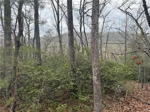 00 Marble Branch Trl, Walhalla, SC 29691 photo 34