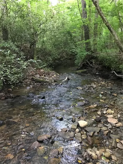00 Marble Branch Trl, Walhalla, SC 29691 photo 15