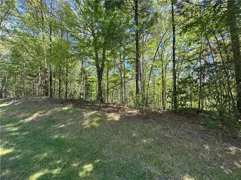 534 Ginseng Dr, Sunset, SC 29685 photo 8