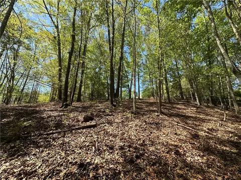 534 Ginseng Dr, Sunset, SC 29685 photo 6