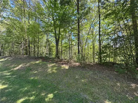 534 Ginseng Dr, Sunset, SC 29685 photo 8