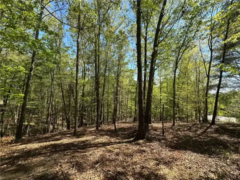 534 Ginseng Dr, Sunset, SC 29685 photo 4