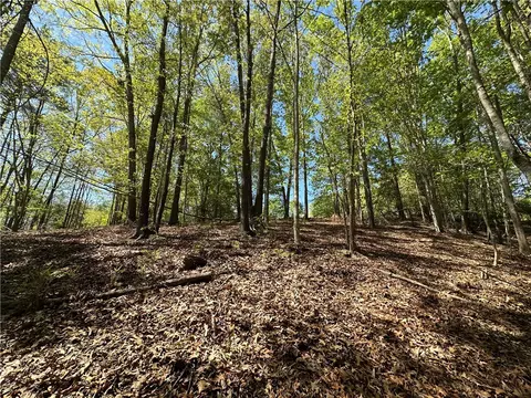 534 Ginseng Dr, Sunset, SC 29685 photo 6