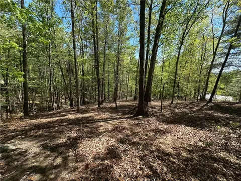 534 Ginseng Dr, Sunset, SC 29685 photo 3