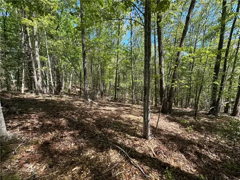 534 Ginseng Dr, Sunset, SC 29685 photo 7