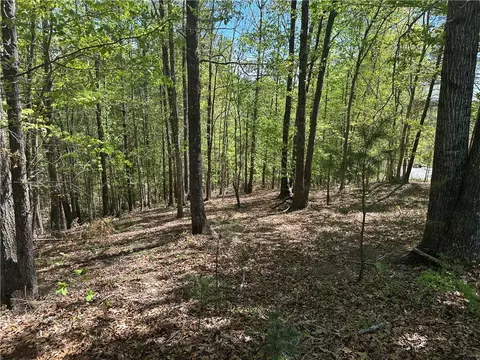 534 Ginseng Dr, Sunset, SC 29685 photo 2