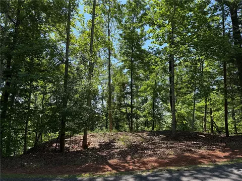 126 Summit Pne, Sunset, SC 29685 photo 2